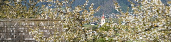 Buch In Tirol Stadt Partnersuche
